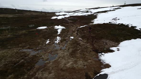 A woman and her frenchie walking on a mountain path by the snow line. Aerial forward dolly. alt