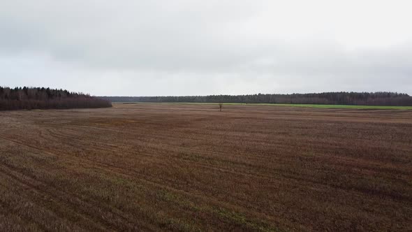 Top view over a field in late autumn