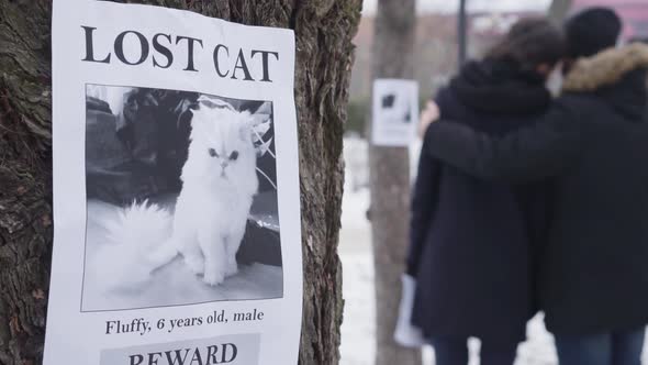 Close-up of Lost Cat Ad Hanging on the Tree As Two Blurred Caucasian People Hugging at the alt