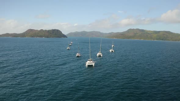 Arial view: yachts lined up in a wedge, yachting, sailing alt