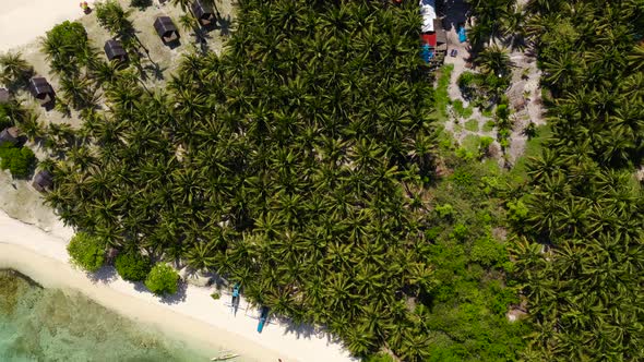 Palm Trees and Turquoise Water on a Tropical Island, Top View. alt
