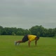 Active Sporty Fit African American Man Doing Burpees Workout on Green Field - VideoHive Item for Sale