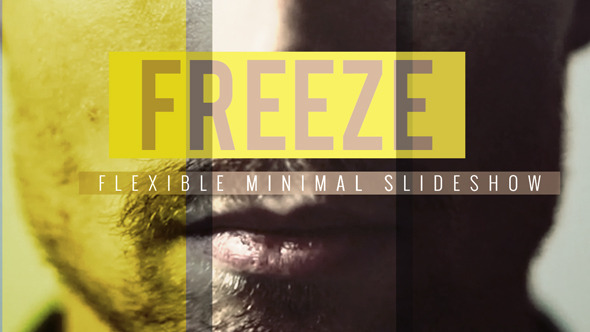 Freeze - Flexible - VideoHive 9364914