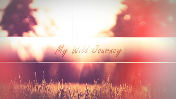 My Wild Journey - VideoHive 9372716