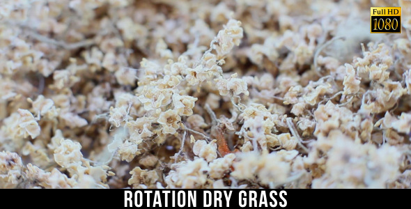 Rotation Dry Grass alt