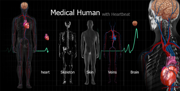 Medical Human - 3Docean 9385306