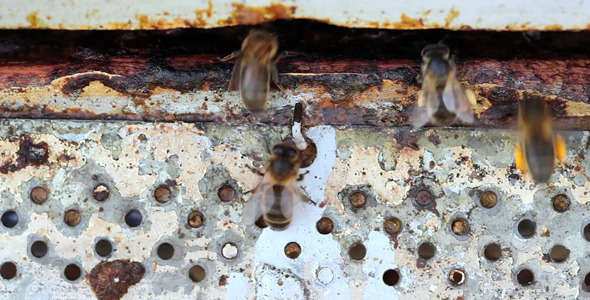 Entrance To Beehive alt