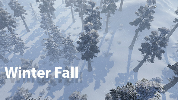 Winter Fall 01