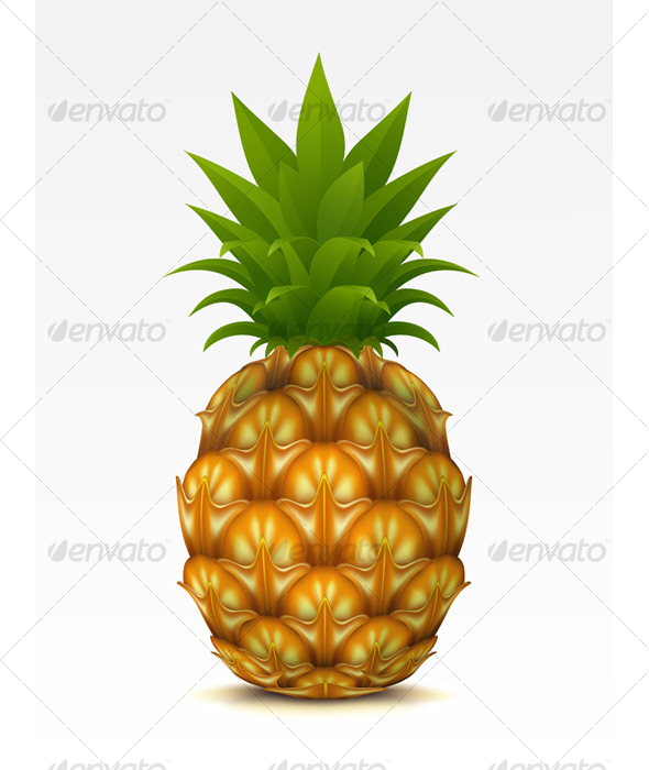 Pineapple - Food Objects