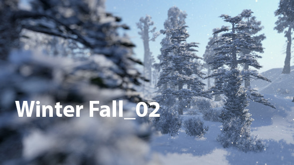 Winter Fall 02