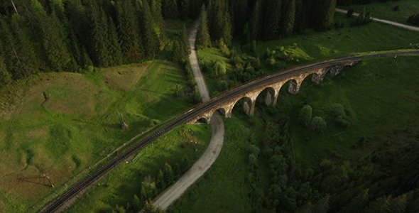 Bridge in Forest