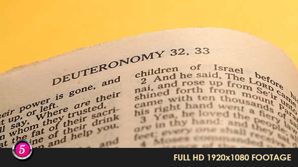 Old Holy Bible 302 alt