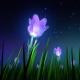 Night Flowers Night Flowers - VideoHive Item for Sale
