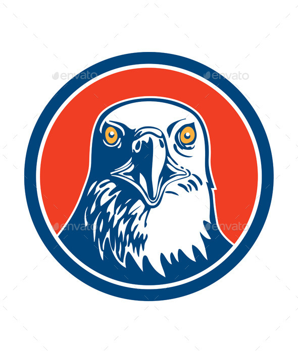 American Bald Eagle Head - Animals Characters