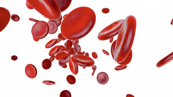 Erythrocyte Cells on a Green screen background