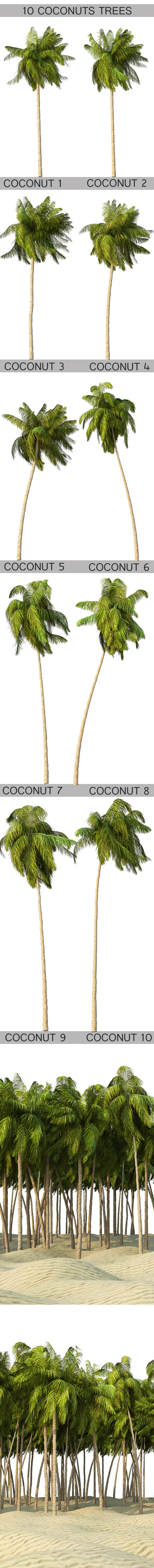 10Coconuts trees - 3Docean 9464099
