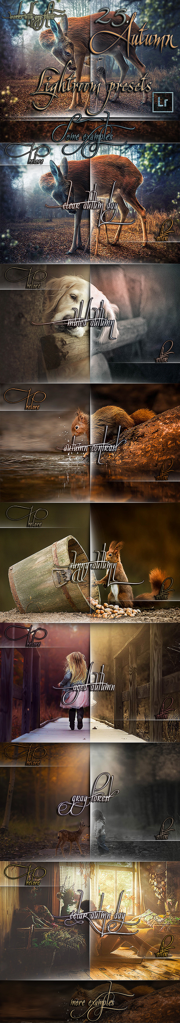 25 Professional Autumn Lightroom - Portrait Lightroom Presets