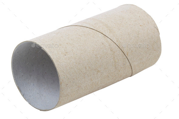 Empty toilet paper roll isolated on a white Stock Photo by Ha4ipuri