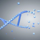 Structure of the DNA - VideoHive Item for Sale
