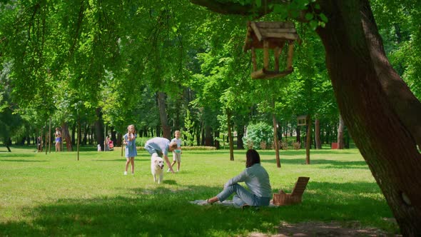 Beautiful Labrador Playing with Family on Picnic alt