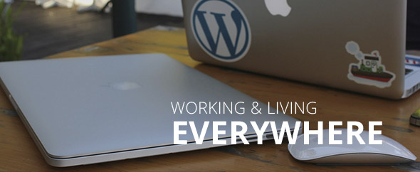 Envato header