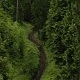 Flying Above The Forest Road - VideoHive Item for Sale