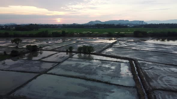 Fly over dry flood paddy field  alt