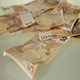 Euro  - VideoHive Item for Sale