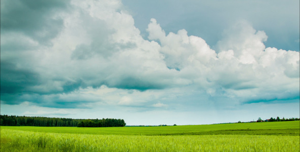 Green Field With Overcast Clouds