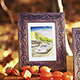 Photo Gallery On Sunny Autumn Woods - VideoHive Item for Sale