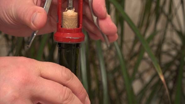 Open a Wine Bottle With a Corkscrew alt