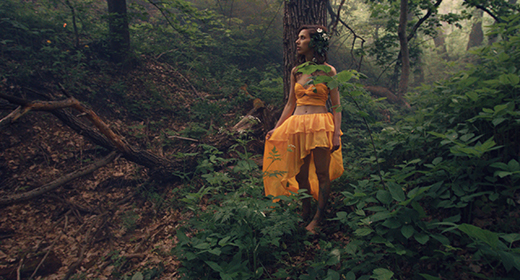 Fairy Tale Girl in The Forest