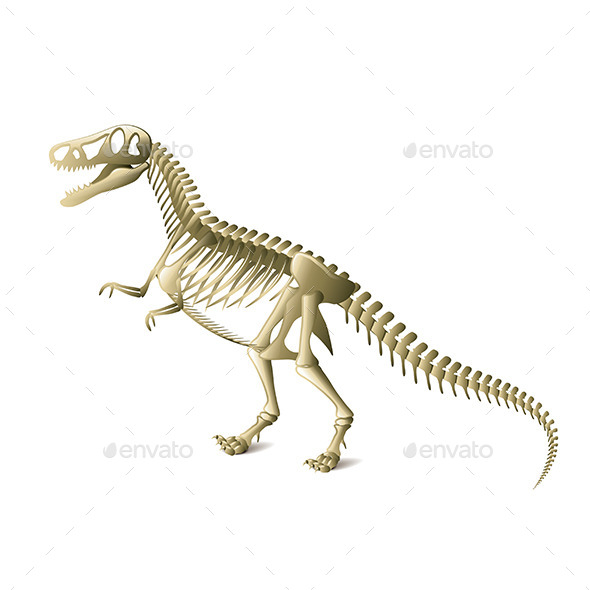 Dinosaur Skeleton - Animals Characters