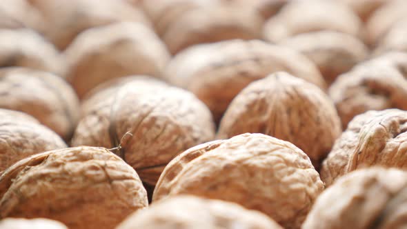 Walnuts in shells  arranged on the table slow tilting 4K 2160p 30fps UltraHD video - Raw food backgr alt