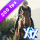 Horse Rider Horse Rider - VideoHive Item for Sale