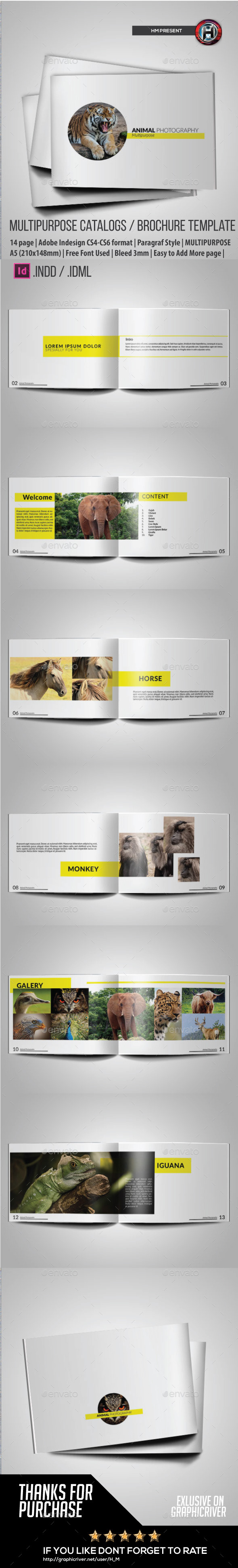 Minimal Purpose Animal Photography - Portfolio Brochures