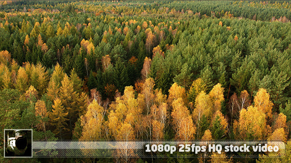 Earth From Above 8 alt