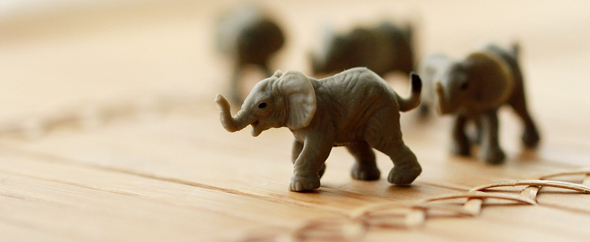 Athemeforesttoy590 8916