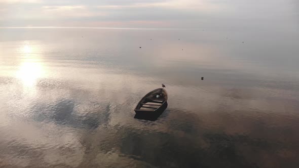 AERIAL: Seagull Sitting on a Wooden Boat in the Middle of the Coast alt