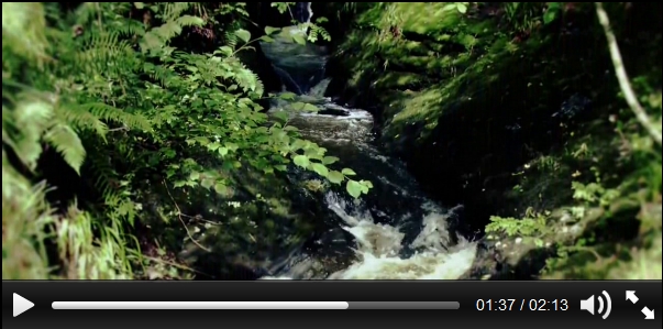 JQuery Html5 Video Player