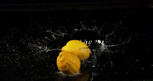 Lemon Yellow, Citrus limonum, Fruit falling in water on Black Background, Slow Motion 4K alt