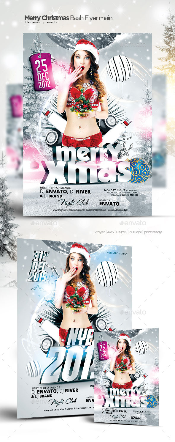 Christmas New Year Flyer