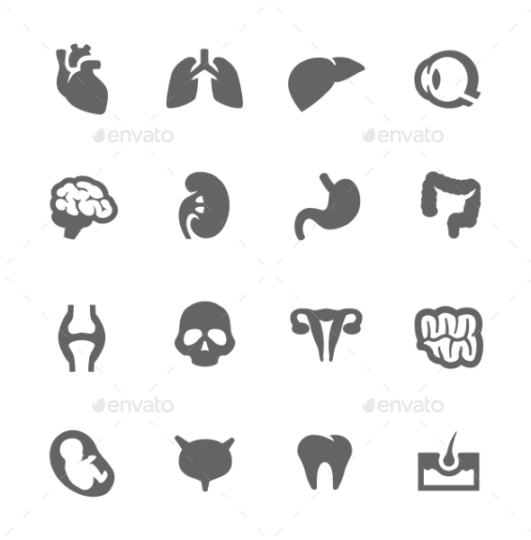 Organ Icons - Objects Icons