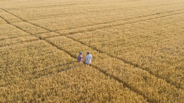 Aerial View Farmers Working with a Tablet in a Wheat Field alt