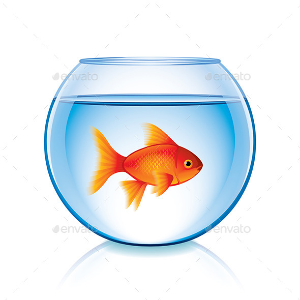 Goldfish in Bowl - Animals Characters