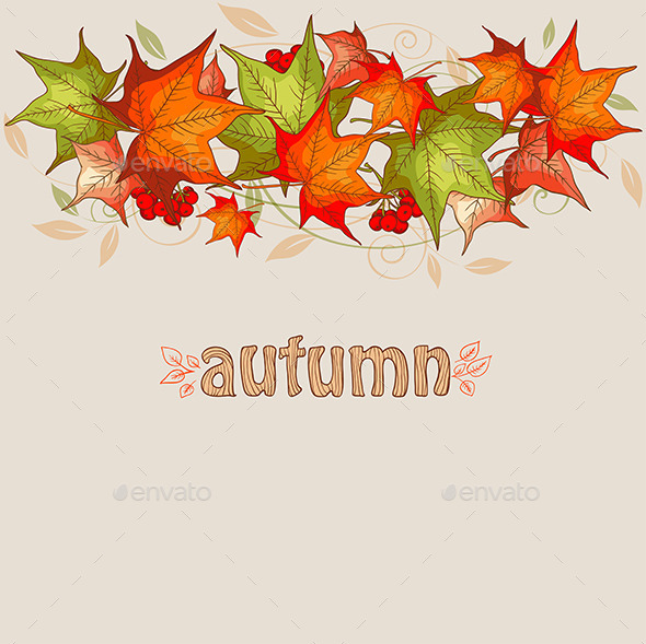 Maple Leaves and Red Viburnum - Seasons Nature