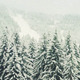 Flying in the Winter - VideoHive Item for Sale