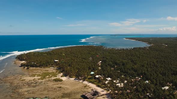 Coast of the Sea with Surf. alt