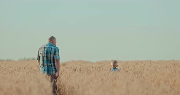 Happy Father and Son are Walking in the Rye Field