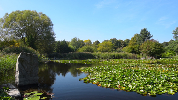 Pond and Blue Sky